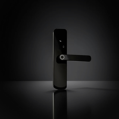 ISH037 Smart door lock