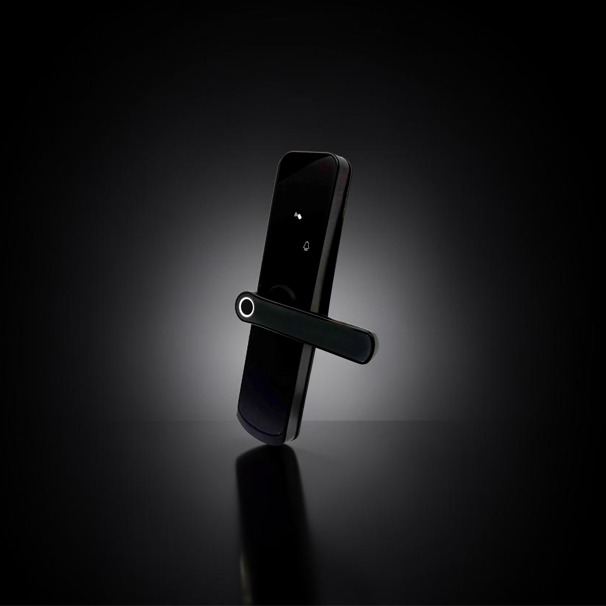 ISH037 Smart door lock
