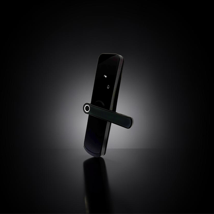 ISH037 Smart door lock