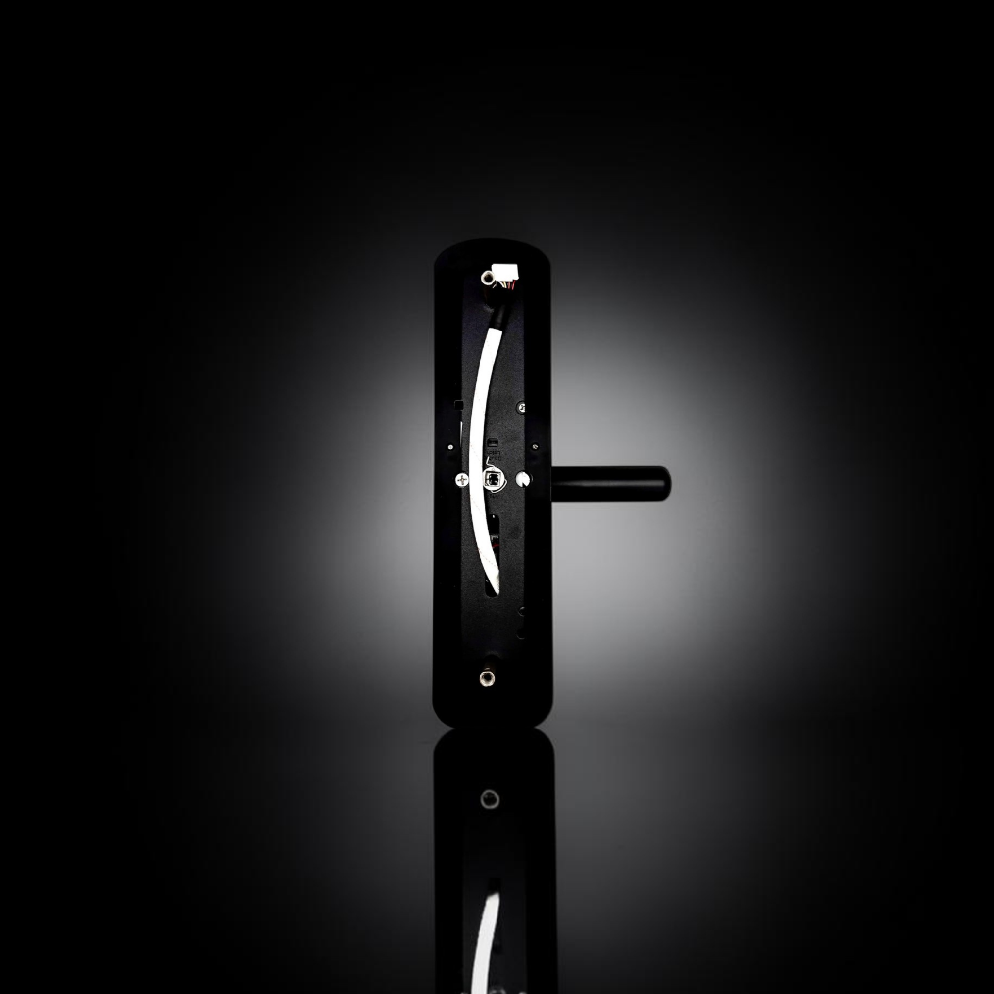 ISH037 Smart door lock