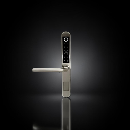 ISH038 Aluminum-housing smart door lock