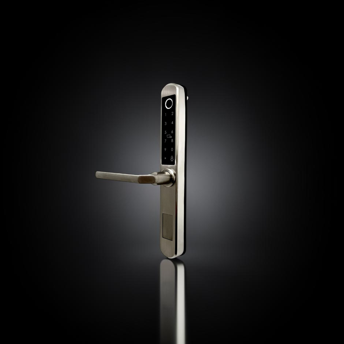 ISH038 Aluminum-housing smart door lock