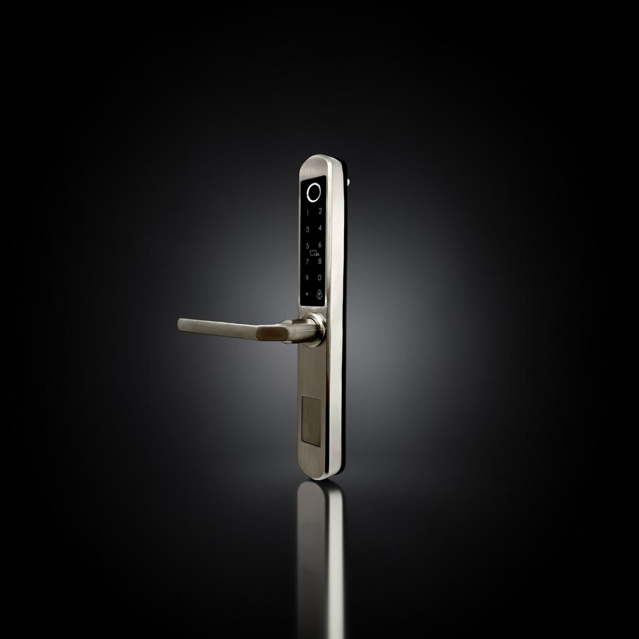 ISH038 Aluminum-housing smart door lock