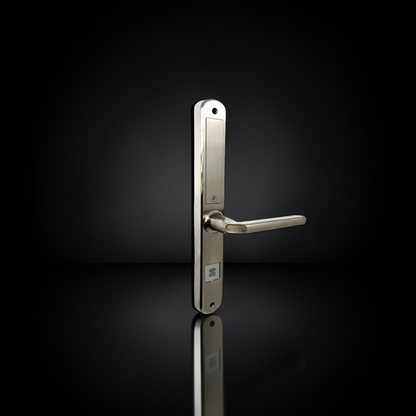 ISH038 Aluminum-housing smart door lock