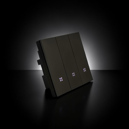 ISH003 Plastic switch with 3 buttons