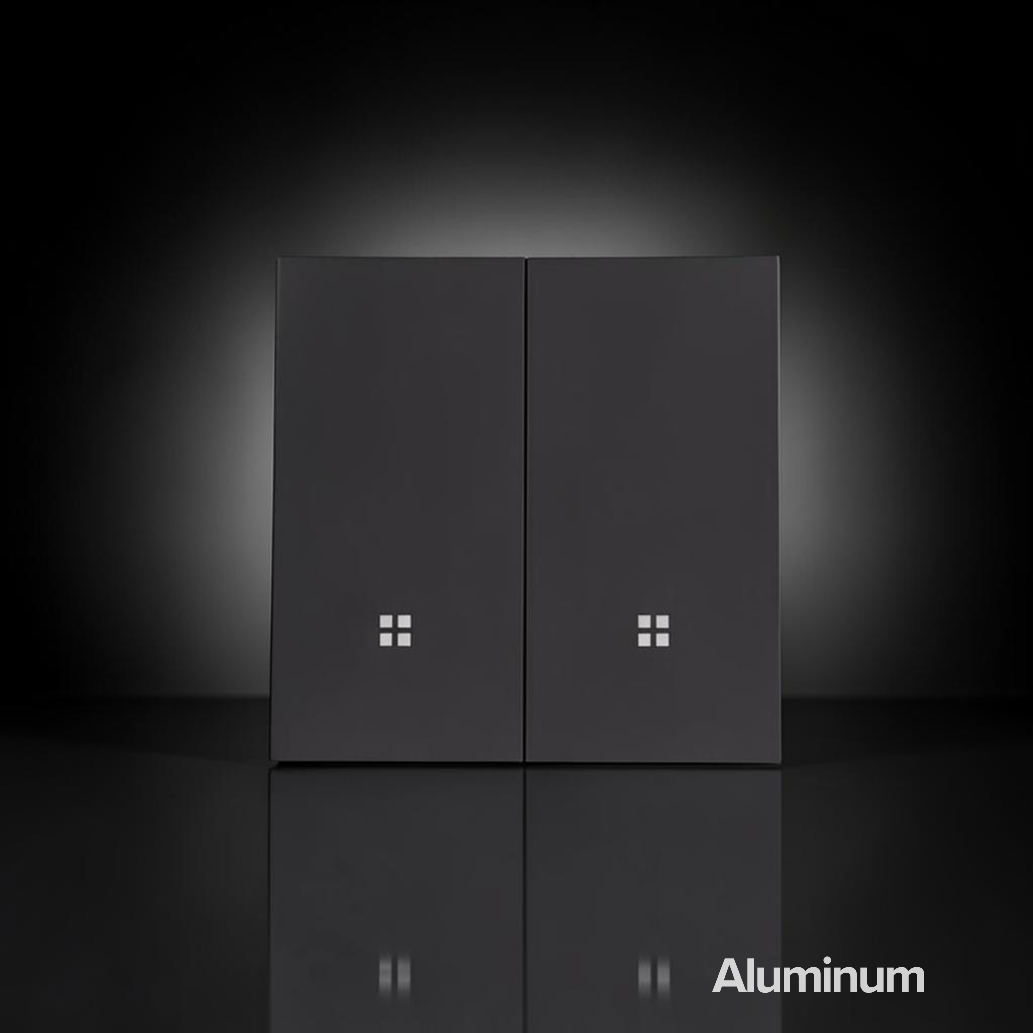ISH011 Aluminum switch with 2 buttons
