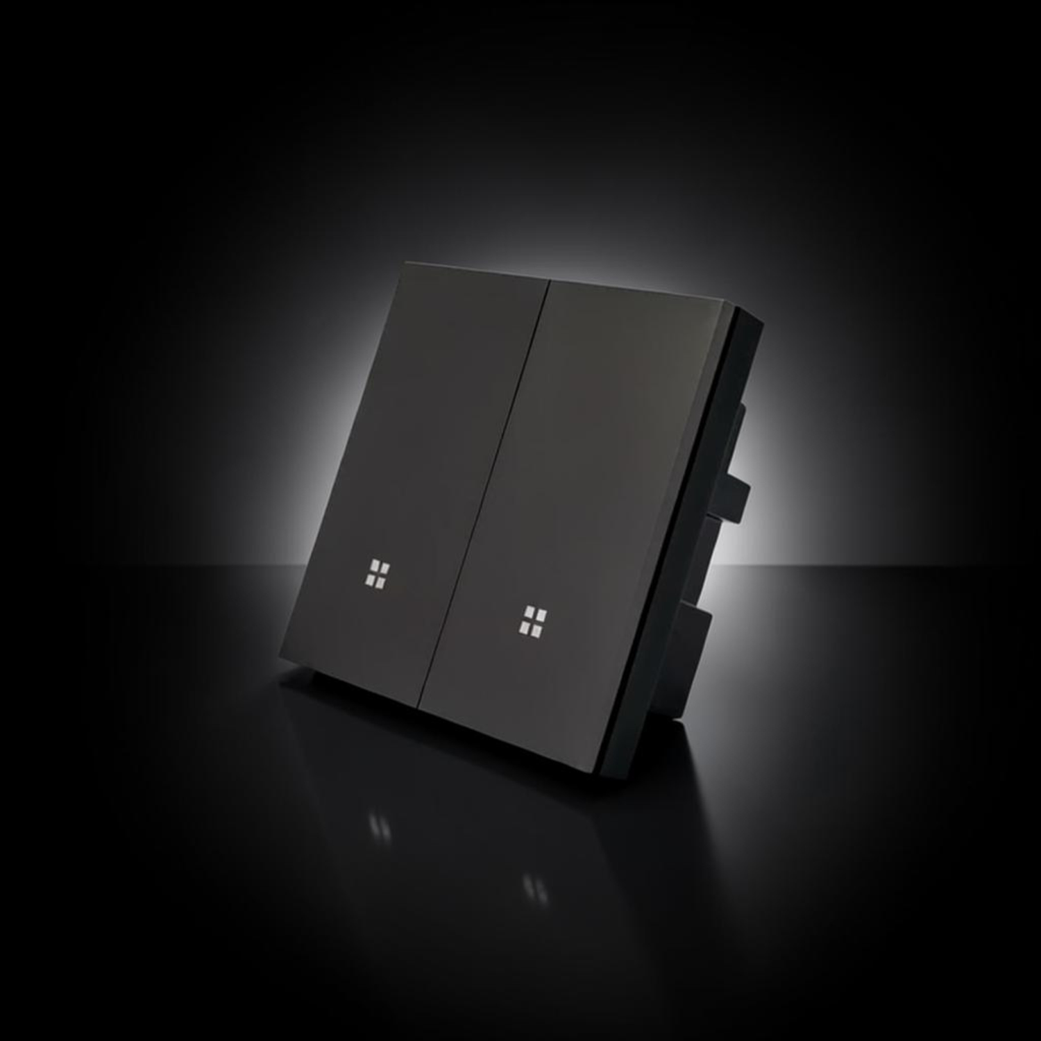 ISH002 Plastic switch with 2 buttons