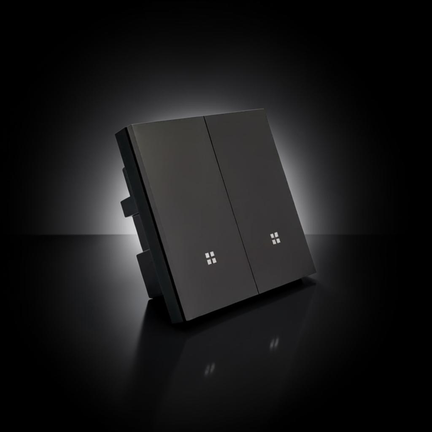 ISH002 Plastic switch with 2 buttons