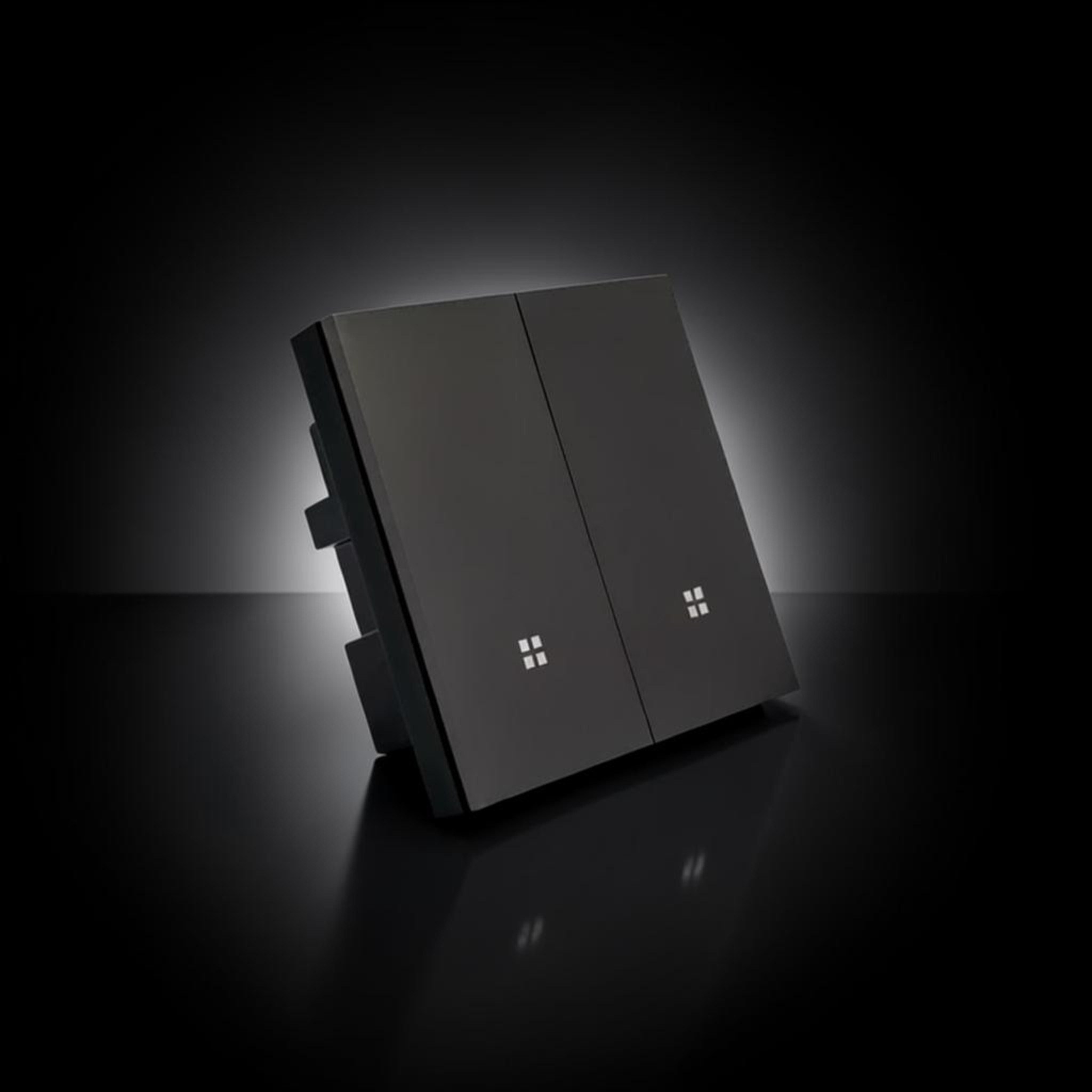ISH011 Aluminum switch with 2 buttons