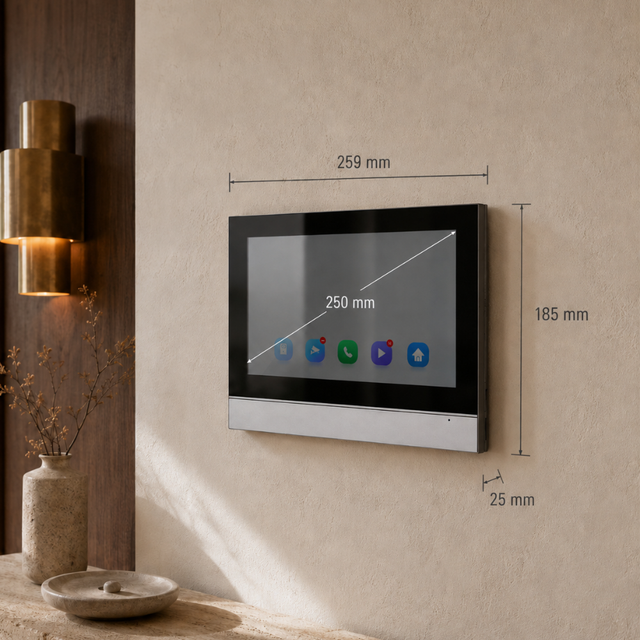 Didelis 25 cm (10") IPS ekranas