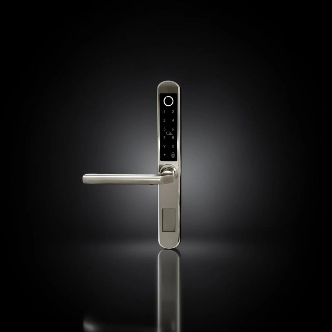 ISH038 Aluminum-housing smart door lock