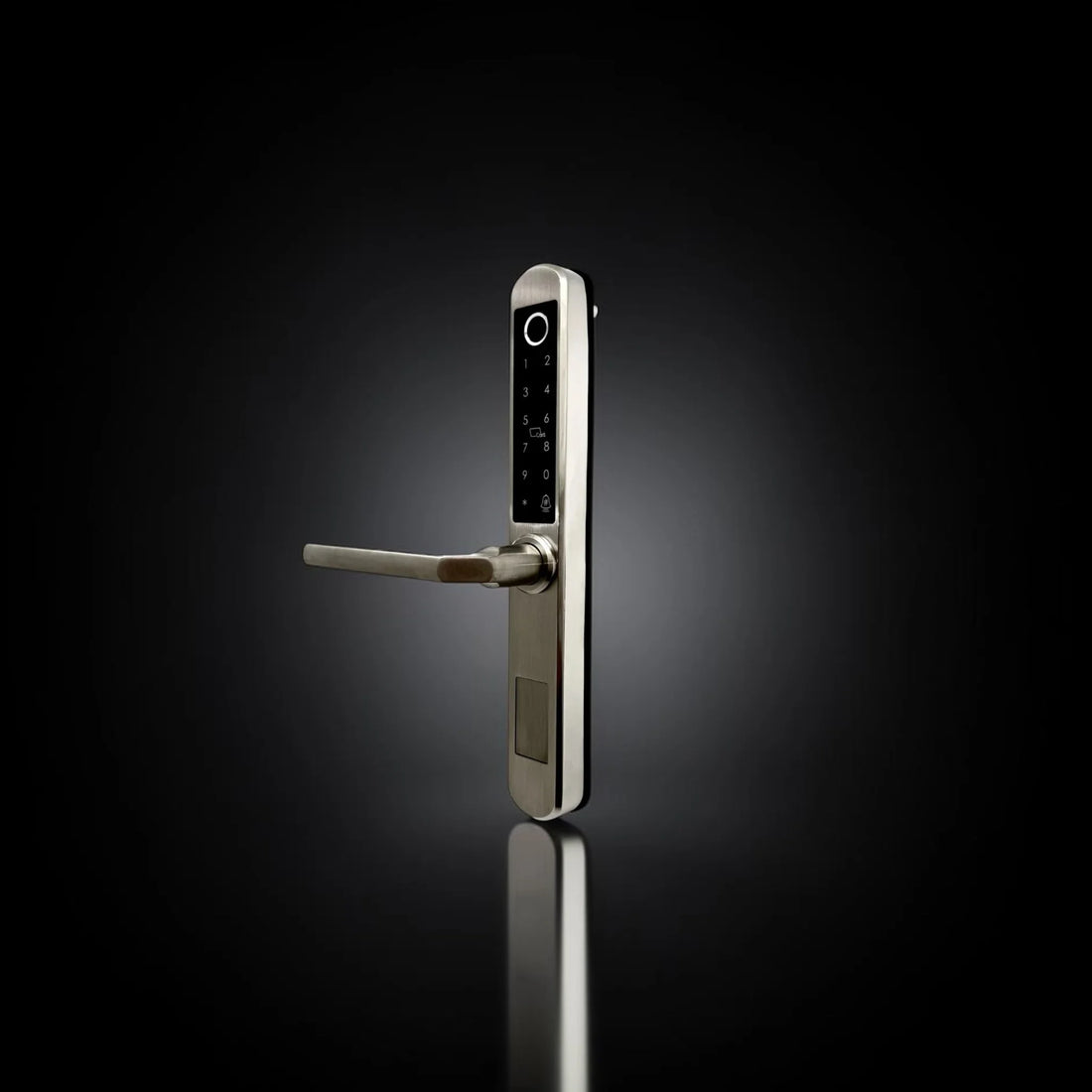 ISH038 Aluminum-housing smart door lock